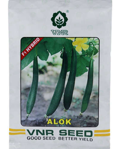 VNR Alok Sponge Gourd (50g) Seeds