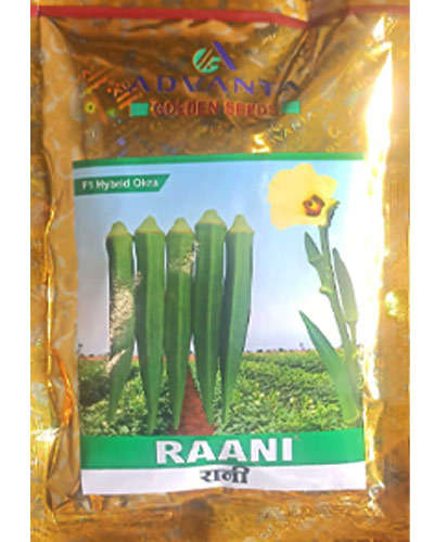 UPL Raani Okra (250g) Seeds