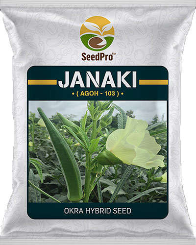 SeedPro Janaki Okra (250g) Seeds