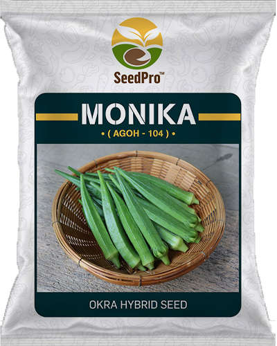 SeedPro Monika Okra (250g) Seeds