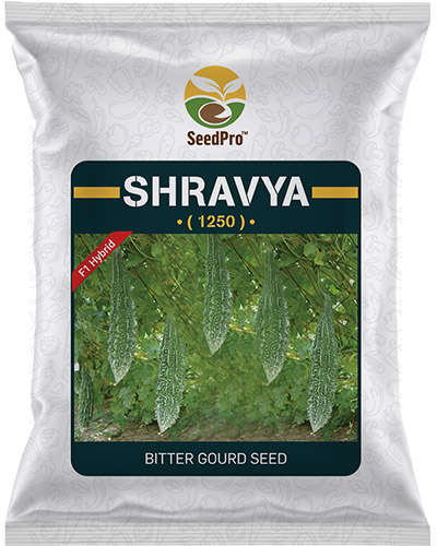 SeedPro Shravya Bitter Gourd (50g) Seeds