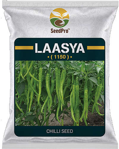 SeedPro Laasya Chilli (10g) Seeds