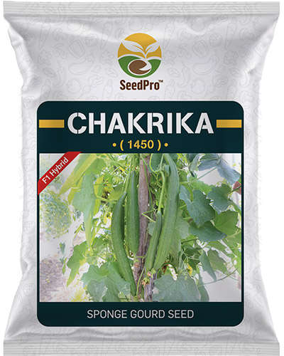 SeedPro Chakrika Sponge Gourd (50g) Seeds