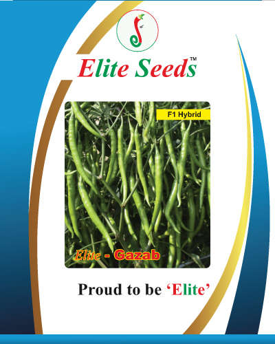 Elite Gazab 214  Chilli (10 gm) Seeds
