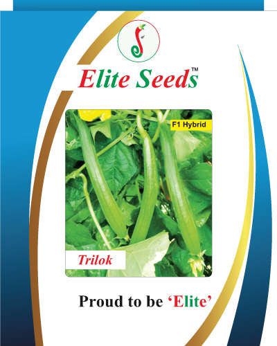 Elite Trilok Sponge Gourd (50g) Seeds