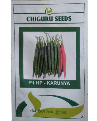 Chiguru Padma Chilli (10g) Seeds