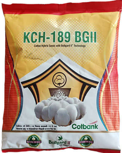 COTBANK KCH-189 BG II Cotton Seeds