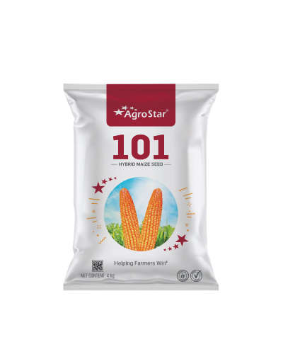 Agrostar 101 Maize (4 Kg) Seeds