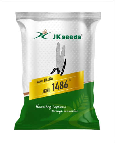 JK 1486 bajara (1.5 Kg) Seeds