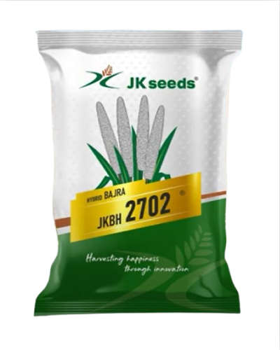 JK 2702 bajara (1.5 Kg) Seeds