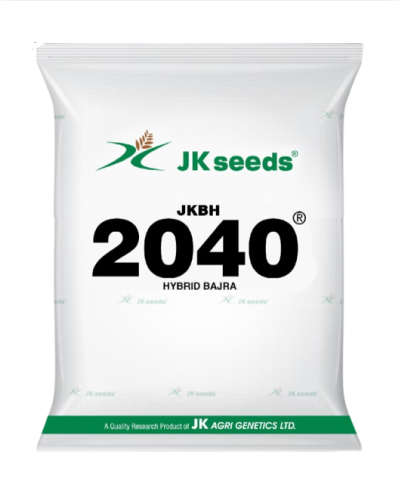 JK 2040 Bajara (1.5 Kg) Seeds