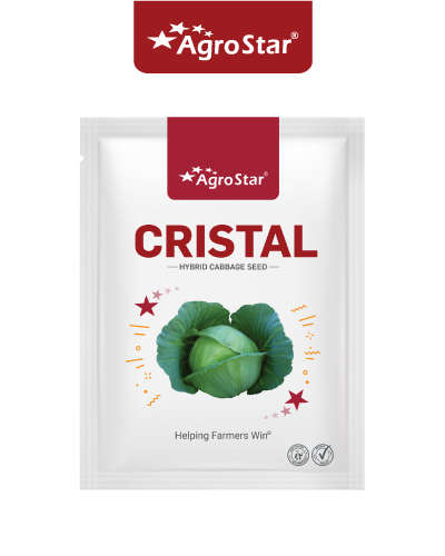 Agrostar Cristal F1 Cabbage (10g)