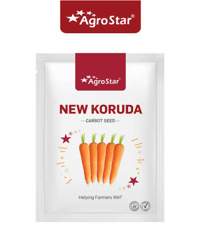 अॅग्रोस्टार नवीन कुरोदा गाजर (250 ग्रॅम) बियाणे