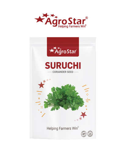 Agrostar Suruchi OP Coriander (500g)