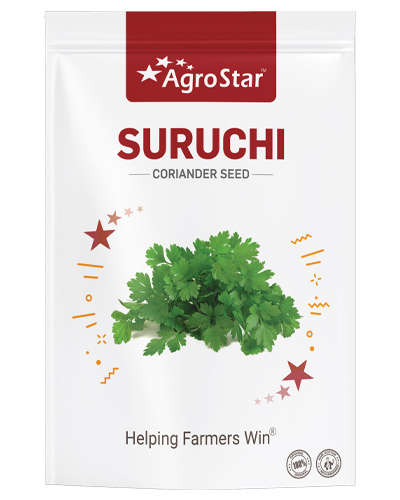 Agrostar Suruchi Coriander (500g)