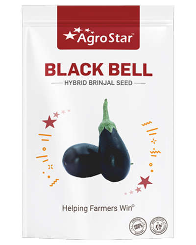 Agrostar Black Bell Brinjal (1000 Seed)