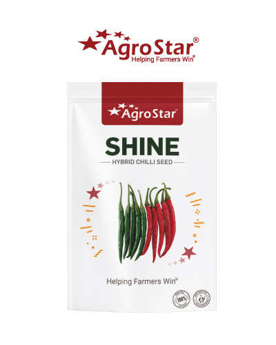 Agrostar Shine F1 Chilli (10g)