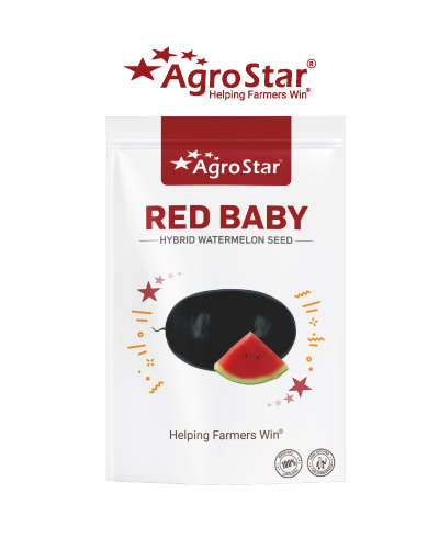 अॅग्रोस्टार रेड बेबी कलिंगड (50) ग्रॅम बियाणे