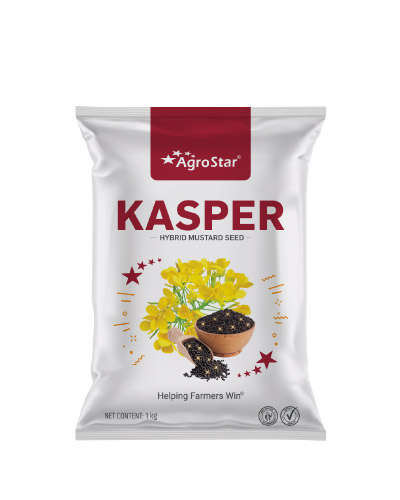 Agrostar Kasper Hy. Mustard (1 Kg) Seeds