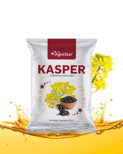 Agrostar Kasper Hy. Mustard (1 Kg) Seeds