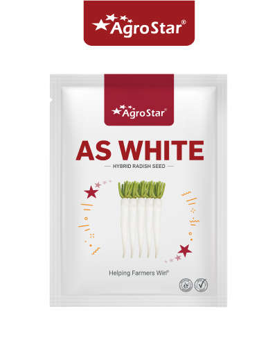 AgroStar AS White F1 Radish (250g)