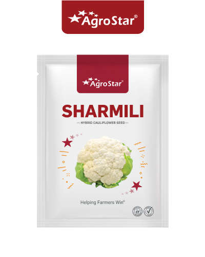 AgroStar Sharmili F1 Cauliflower (10g)