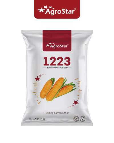 1223 मक्का (4 किग्रा) बीज