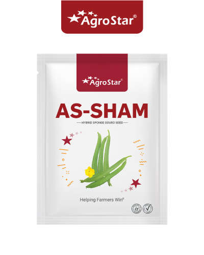 एएस शाम नेनुआ (गिलकी) (10 ग्राम) बीज