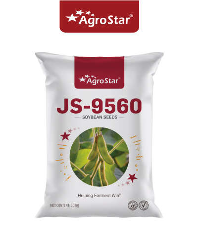 जे एस-9560 सोयाबीन (30 Kg) बीज