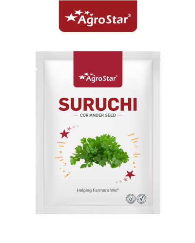 Agrostar Suruchi OP Split Coriander (500g)