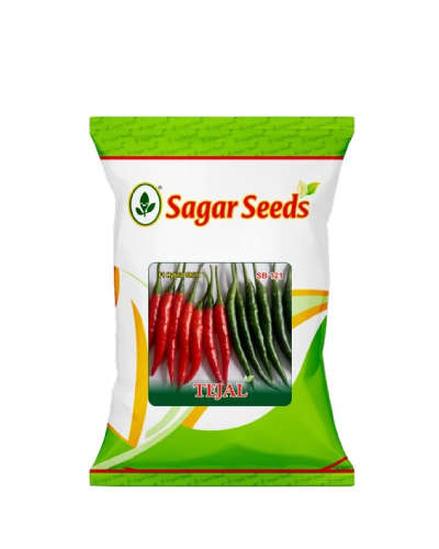 Sagar Tejal F1 Chilli 10g Seeds