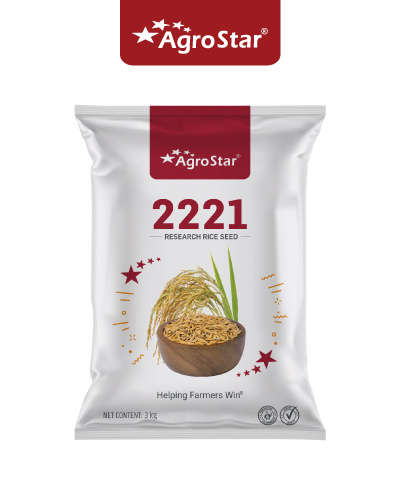 2221 धान (3 किग्रा) बीज