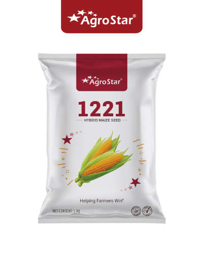 1221 मक्का ( 5 किग्रा) बीज
