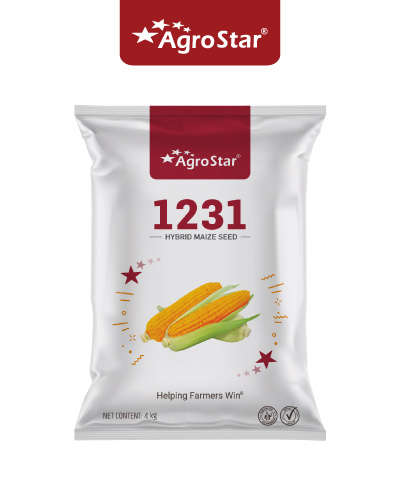 1231 मक्का (4 किग्रा) बीज