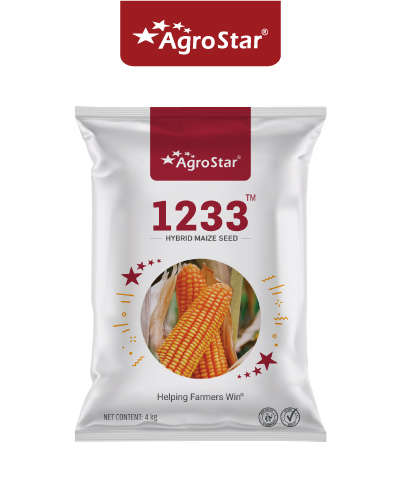1233 Maize (4 kg) Seeds