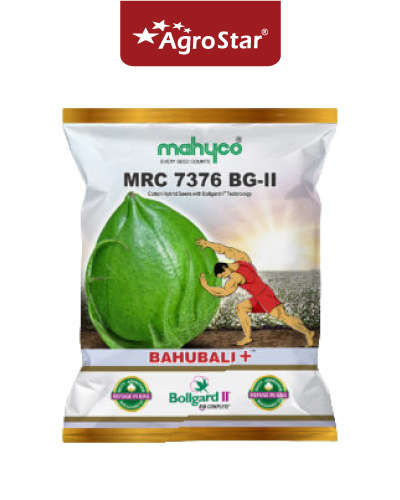  Mahyco MRC-7376  (BAHUBALI+) BG II Cotton 