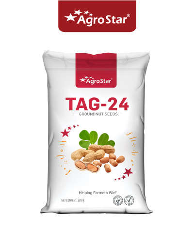 Agrostar TAG-24 Groundnut (20 Kg) Seed (B2B)