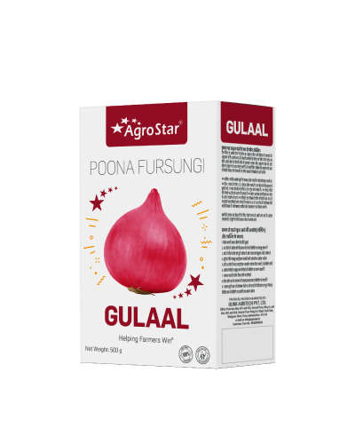 Agrostar Gulaal (Fursungi) Onion (500g) Seeds