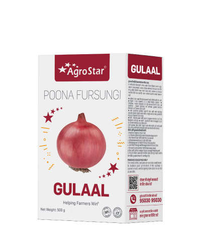 Agrostar Gulaal (Fursungi) Onion (500g) Seeds