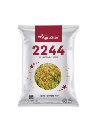 Agrostar 2244 Paddy (2 Kg) Seeds