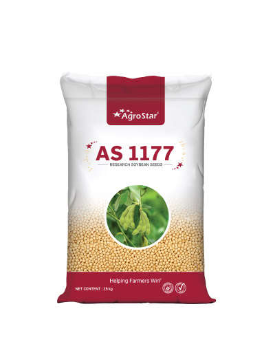 AS 1177 Research Soybean (25 Kg) Seeds