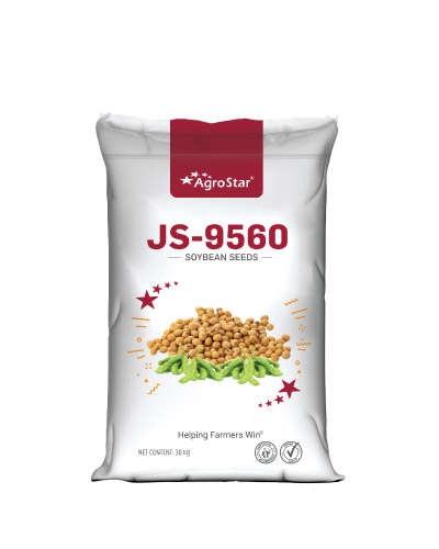 JS 9560 CS Soybean (30 Kg) Seeds