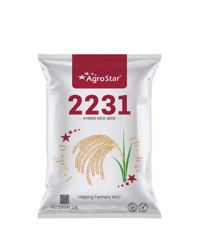 AgroStar 2231 Paddy (2 Kg) Seeds