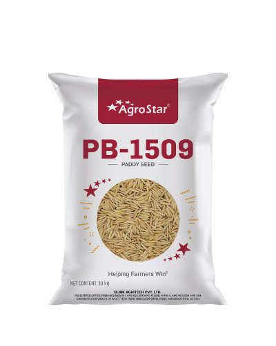 PB-1509 OP Paddy (10 kg) Seeds - CS