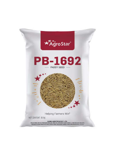PB-1692 OP Paddy (10 Kg) Seeds - CS