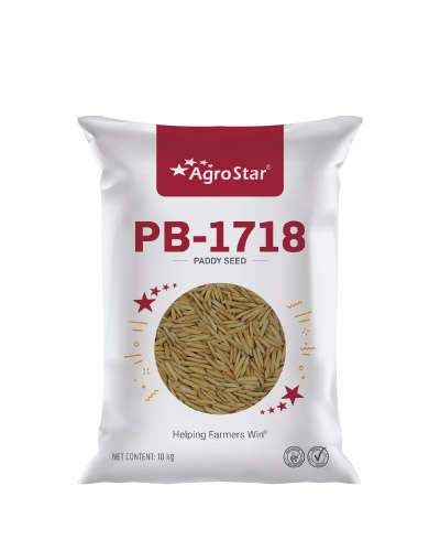PB-1718 OP Paddy (10 kg) Seeds - CS