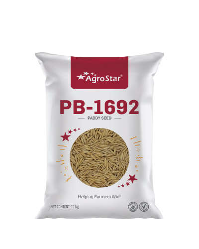 PB-1692 OP Paddy (4 Kg) Seeds - CS