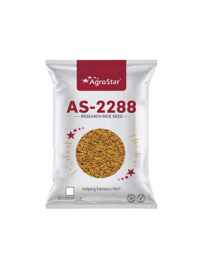 Agrostar AS-2288 Paddy (6 Kg) Seeds