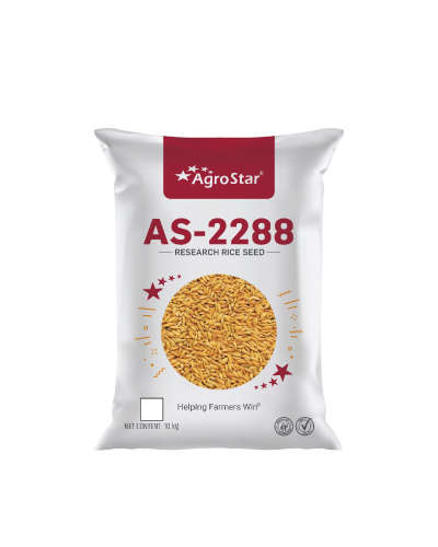 Agrostar AS-2288 Paddy (10 Kg) Seeds