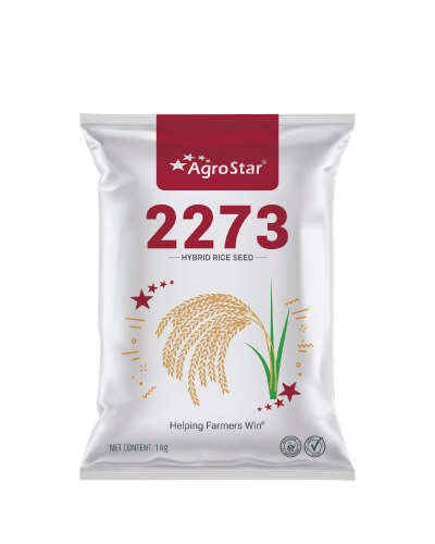 Agrostar 2273 Paddy (1 Kg) Seeds